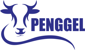 Soto Penggel